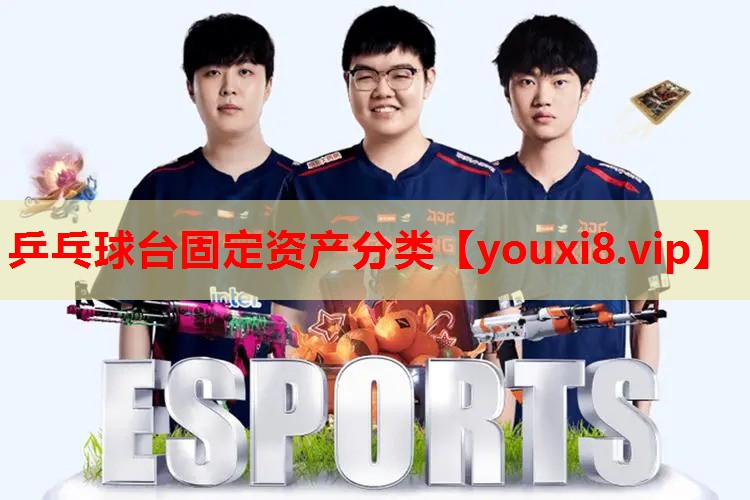 乒乓球台固定资产分类