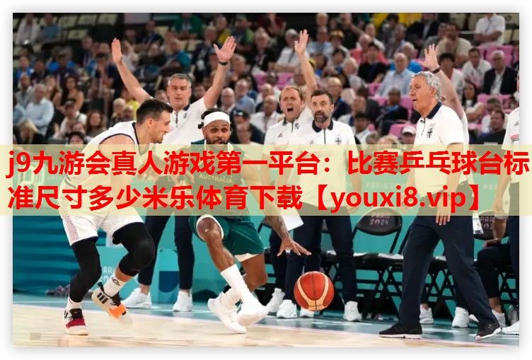 j9九游会真人游戏第一平台：比赛乒乓球台标准尺寸多少米乐体育下载