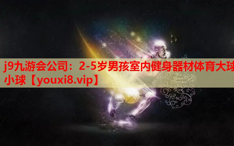 j9九游会公司：2-5岁男孩室内健身器材体育大球小球