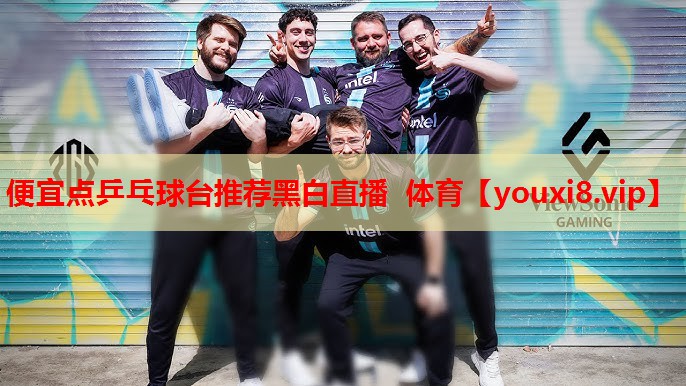 便宜点乒乓球台推荐黑白直播 体育