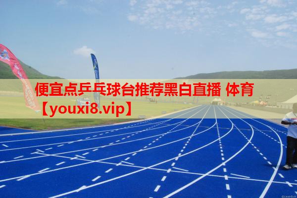 便宜点乒乓球台推荐黑白直播 体育