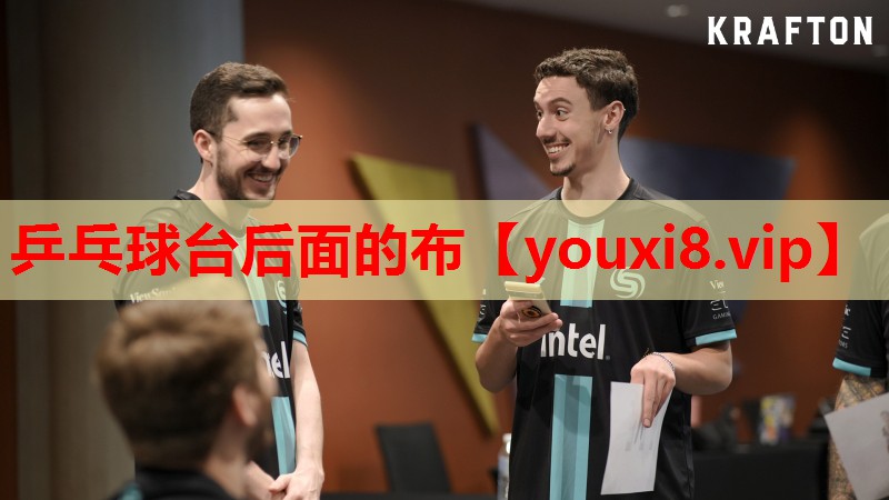 乒乓球台后面的布 乒乓球台后面的布