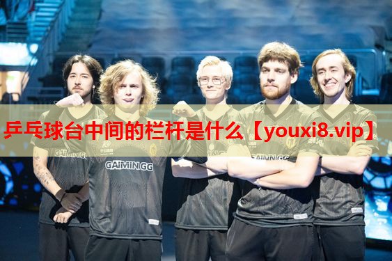 乒乓球台中间的栏杆是什么 乒乓球台中间的栏杆是什么