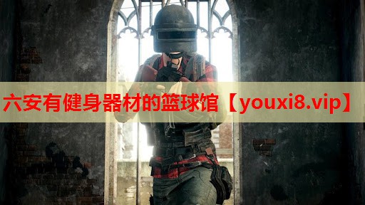 六安有健身器材的篮球馆